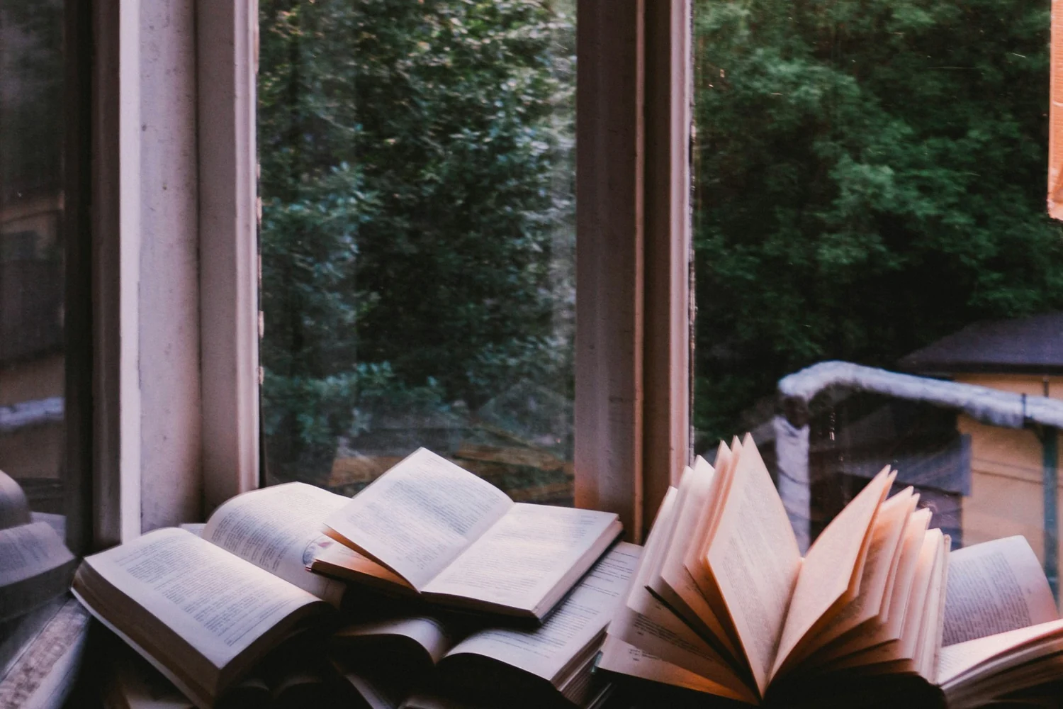Open books beside a window in warm natural light